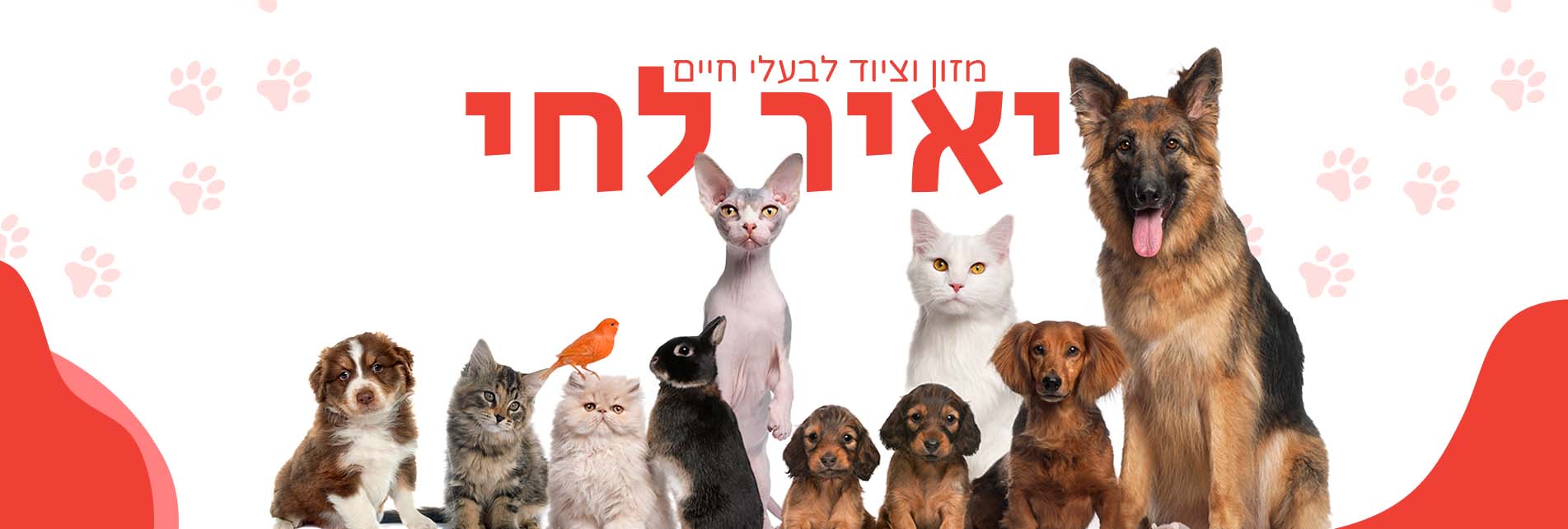 תמונה ללא תיאור